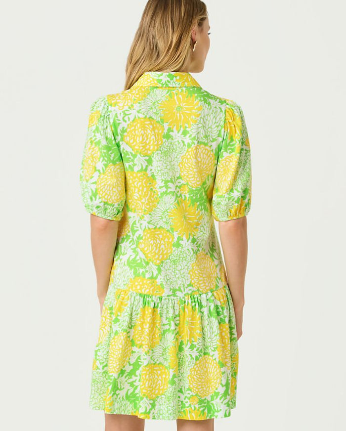 BINGLEY DRESS