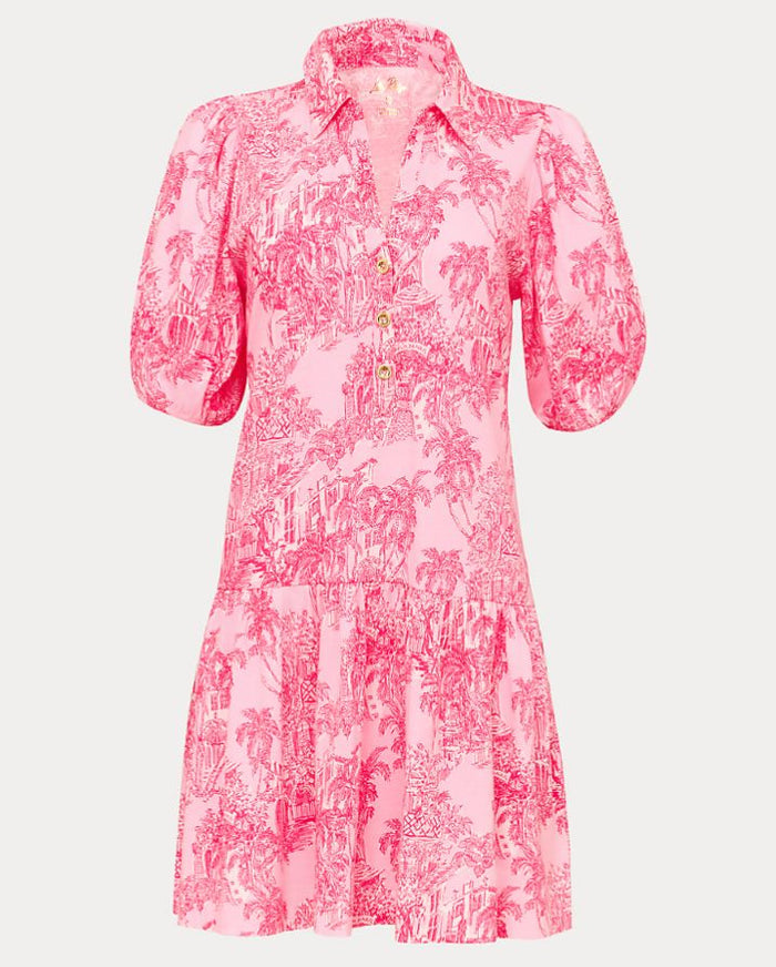 BINGLEY DRESS