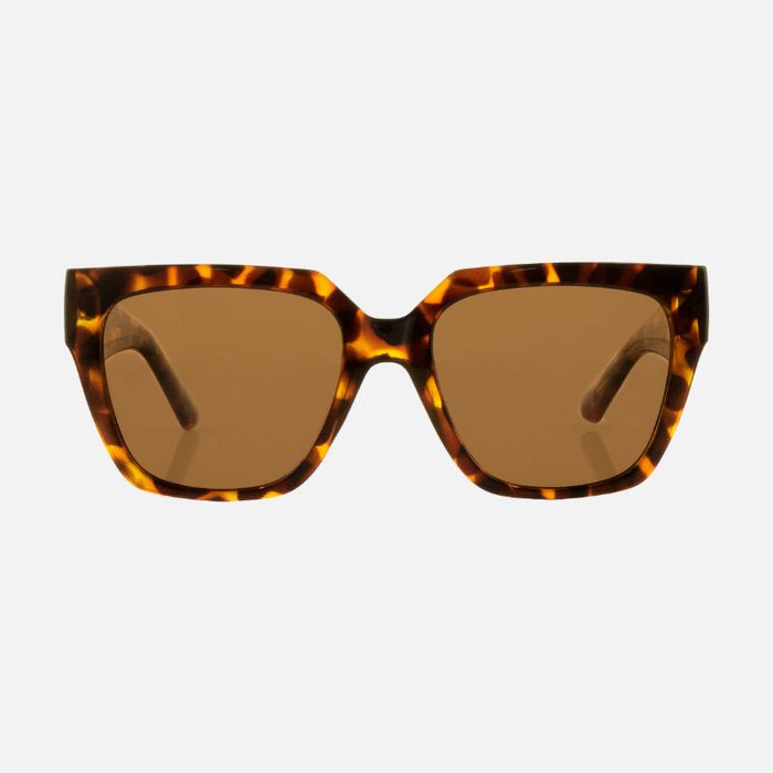 Brooklyn - Gloss Tort with Brown Injected Polarized Lens