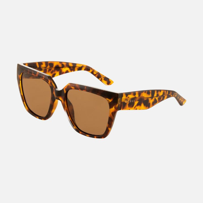 Brooklyn - Gloss Tort with Brown Injected Polarized Lens