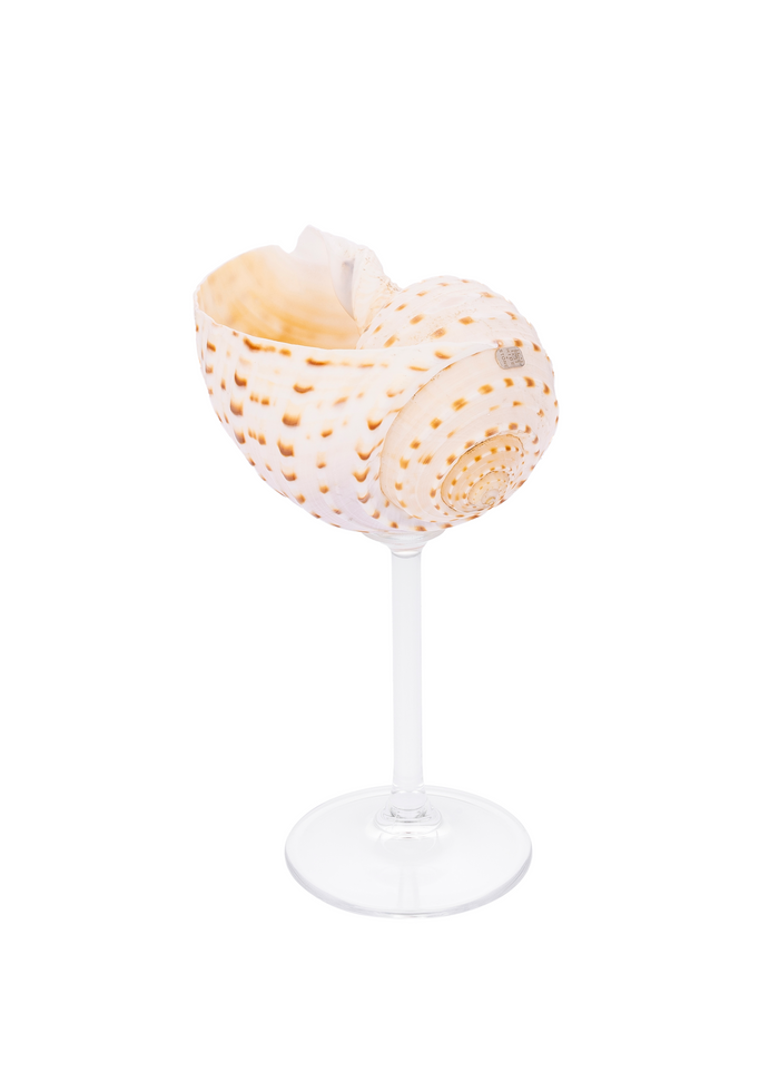 Cala Maris Cocktail Glass
