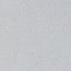 Platinum-product_swatch