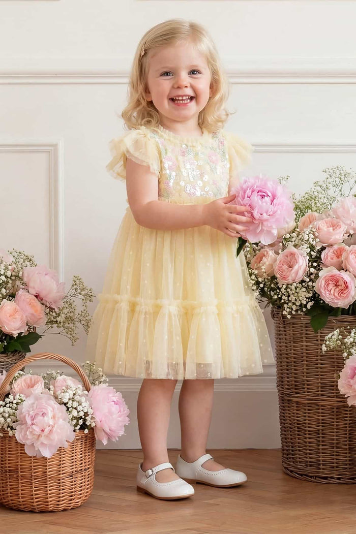 Confetti Bodice Baby Dress