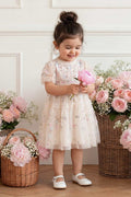 Garland Ribbon Baby Dress