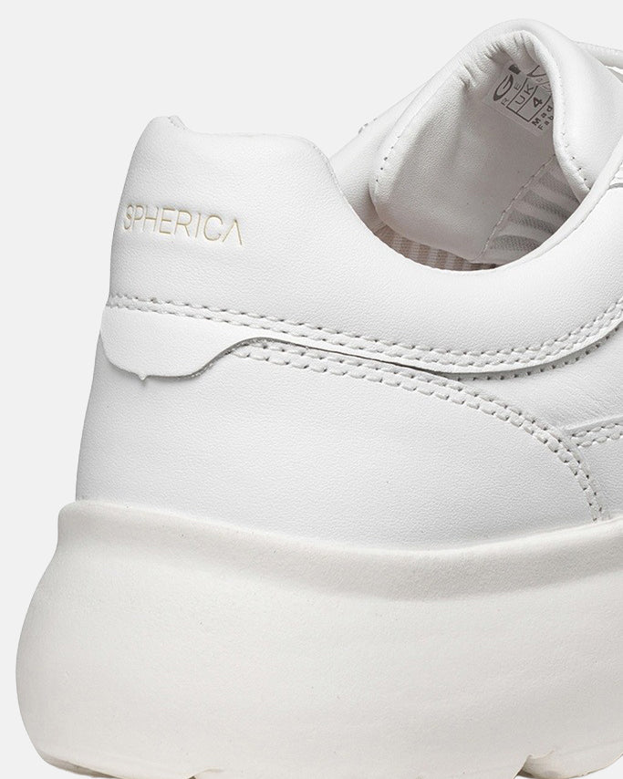 mw:img:a977bcdd6ee90f278c6d785e854088a6