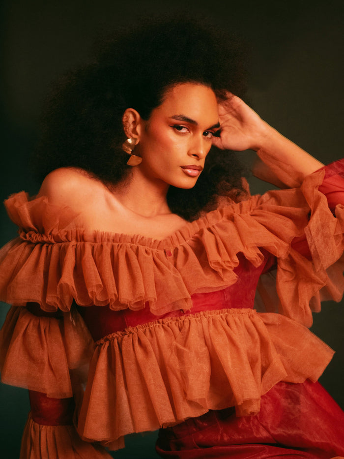 Hazel Off-Shoulder Ruffle Tulle Top - Dimaz