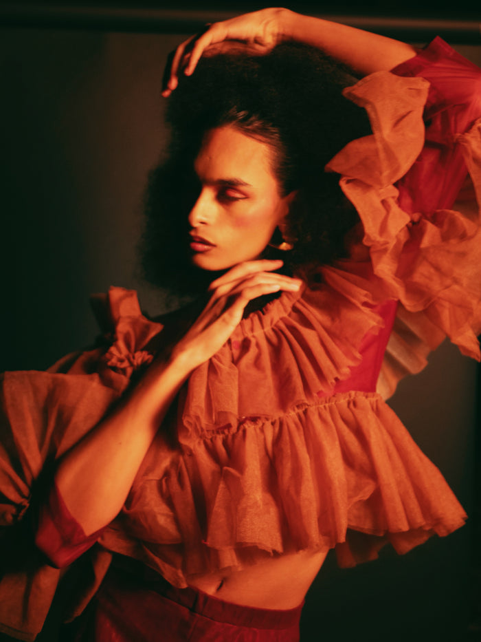 Hazel Off-Shoulder Ruffle Tulle Top - Dimaz