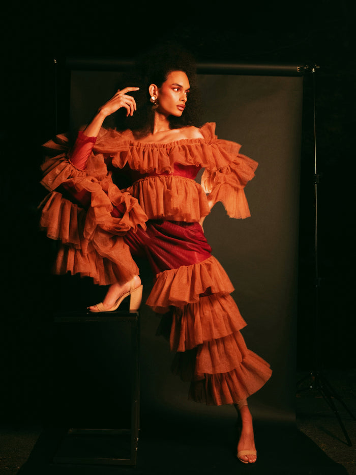 Hazel Off-Shoulder Ruffle Tulle Top - Dimaz