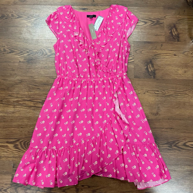 J. Crew SIZE 4 Women's Dress