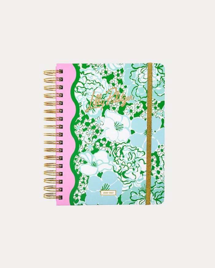 LARGE 17 MONTH AGENDA
