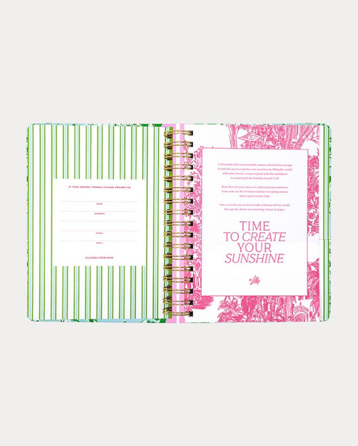LARGE 17 MONTH AGENDA