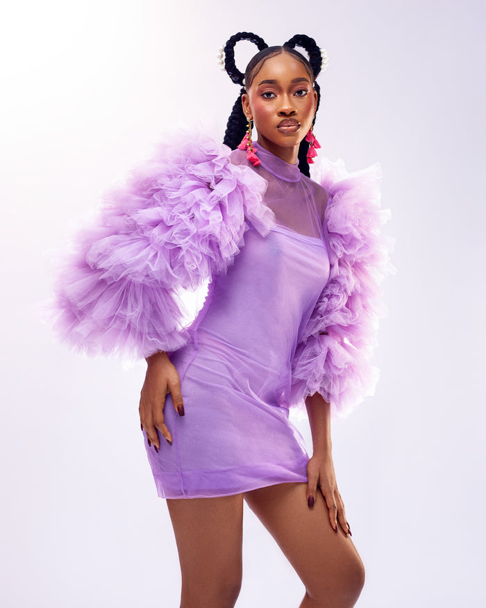Larissa Dress - Sheer Mini Dress with Ruffled Sleeves - Dimaz