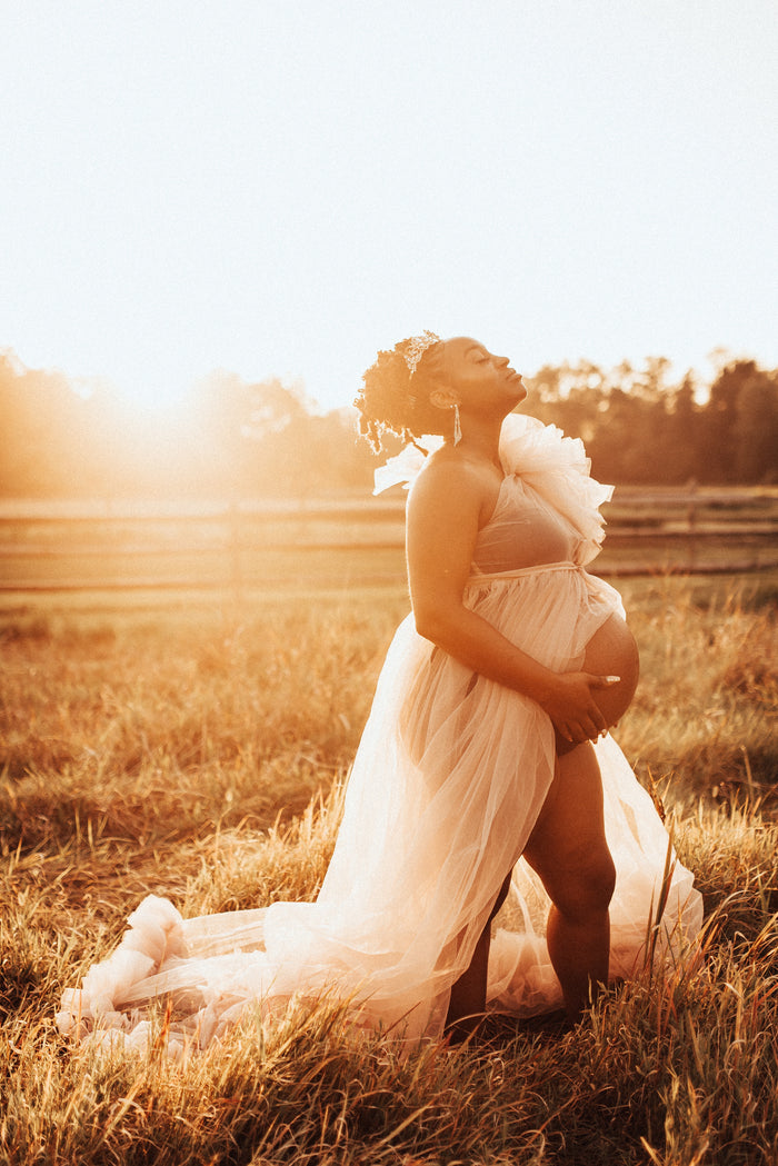 Liza Dress | One Shoulder Maternity Tulle Dress - Dimaz