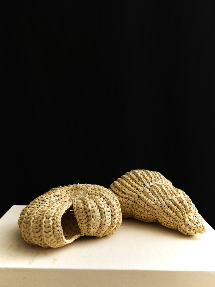 Mare Ruffia Fossil Set