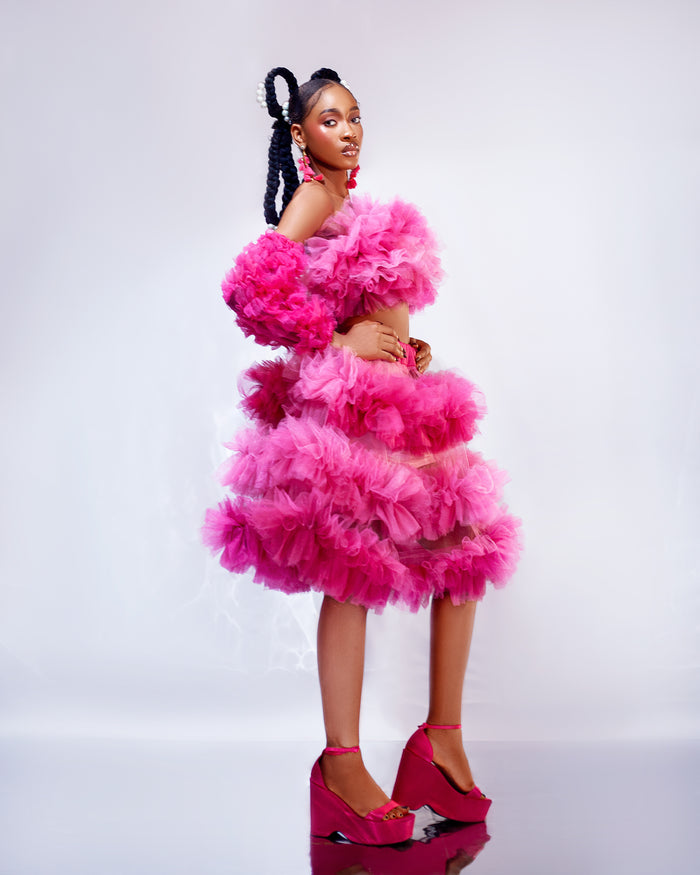 Marley Ombré Ruffled Tulle Skirt - Dimaz