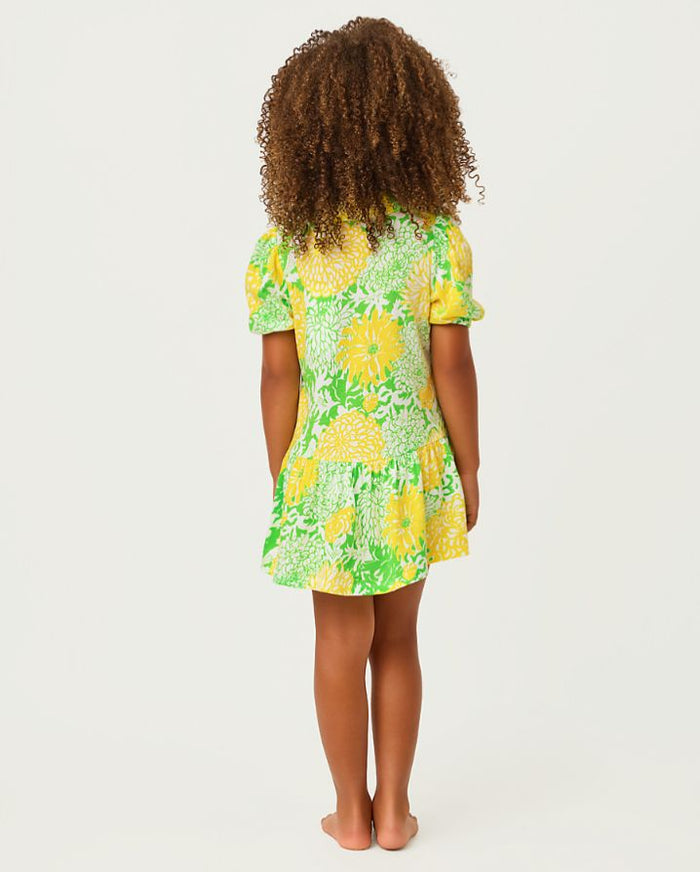 MINI BINGLEY DRESS