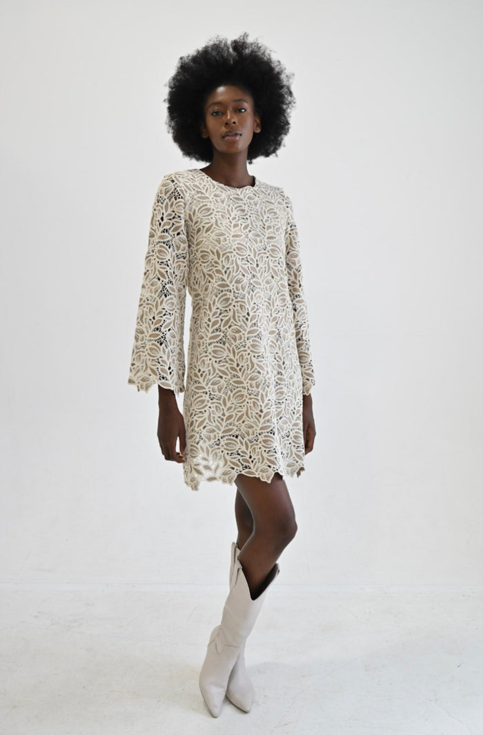 Ne210  Never A Wallflower Lace Shift Dress