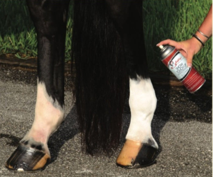 Shapley's Show Touch Up Colour Enhancer- Dark Brown