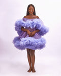Shimmer Dreams Off-Shoulder Tulle Dress - Dimaz