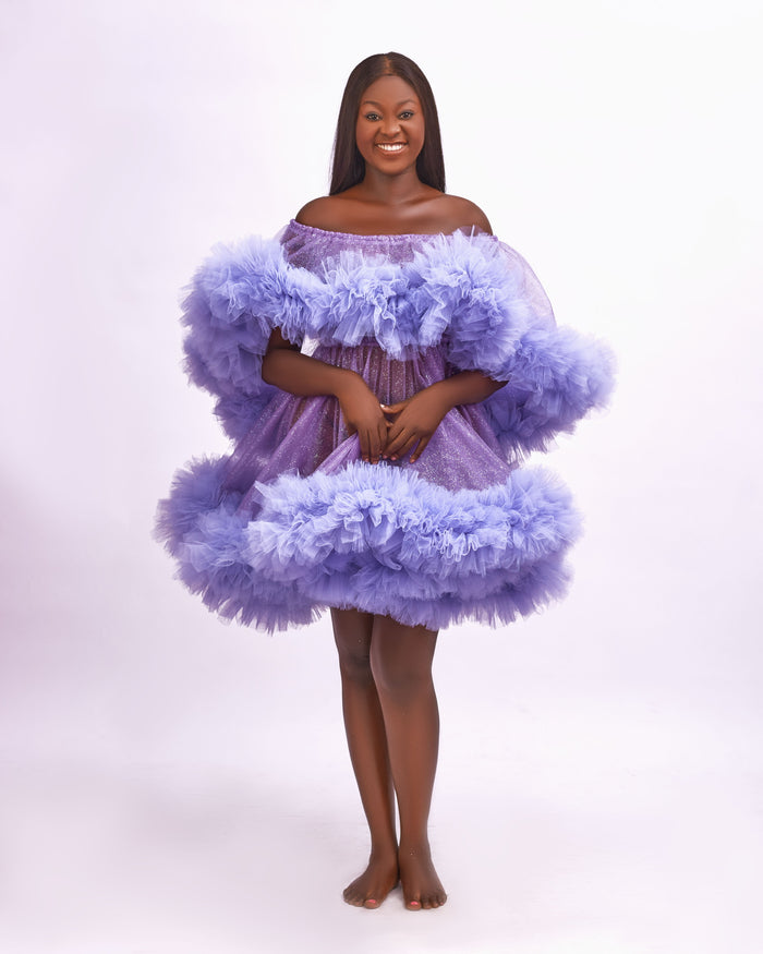Shimmer Dreams Off-Shoulder Tulle Dress - Dimaz