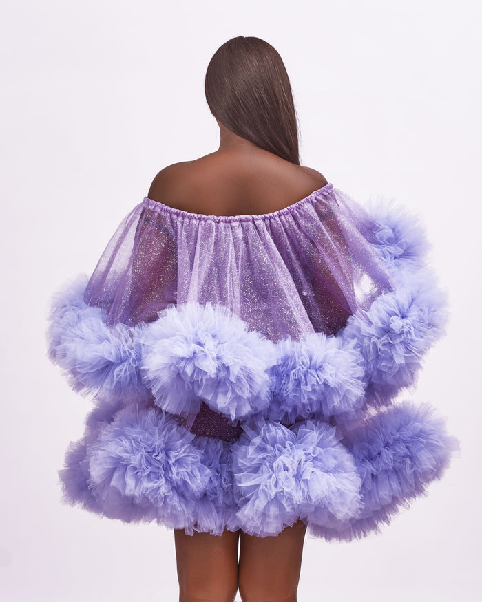 Shimmer Dreams Off-Shoulder Tulle Dress - Dimaz