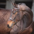 Shires Velociti Gara Plain Bridle- Brown- Pony
