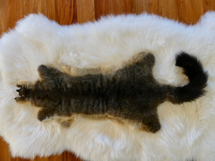 Single Possum Skin Pelt