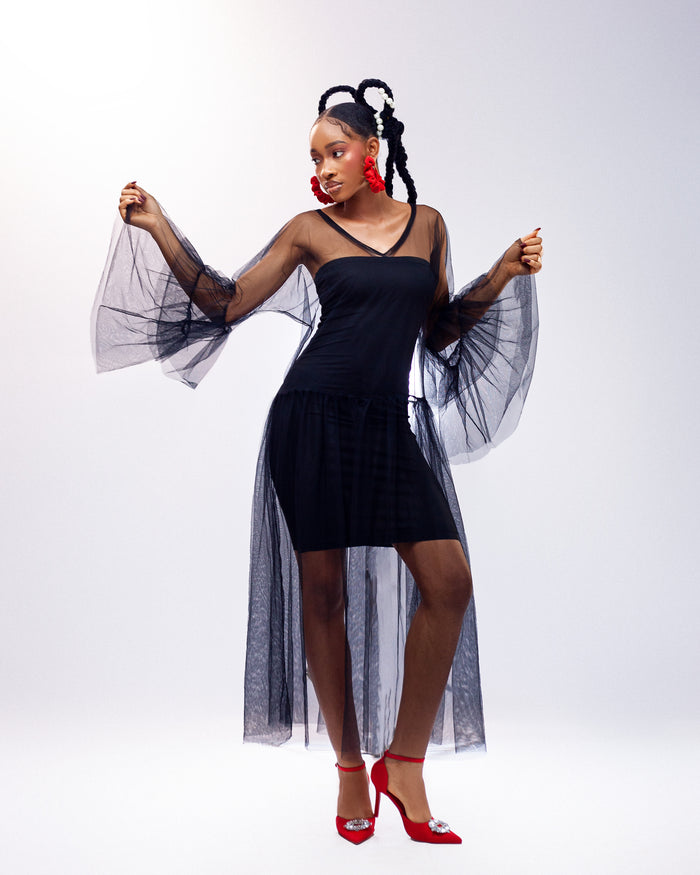 Sunlit Dream Dress - Sheer Tulle Long Sleeve Dress - Dimaz