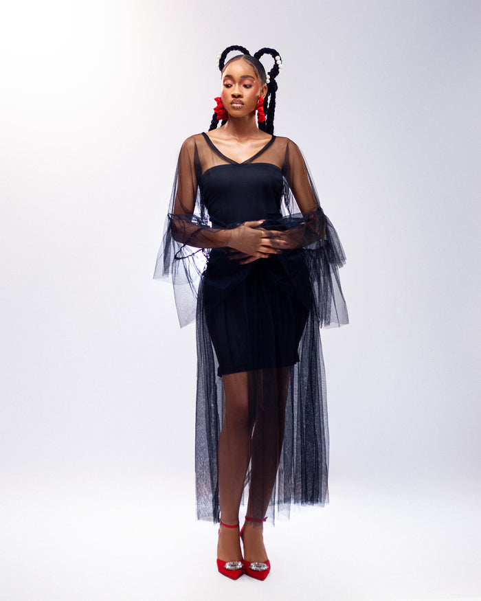 Sunlit Dream Dress - Sheer Tulle Long Sleeve Dress - Dimaz