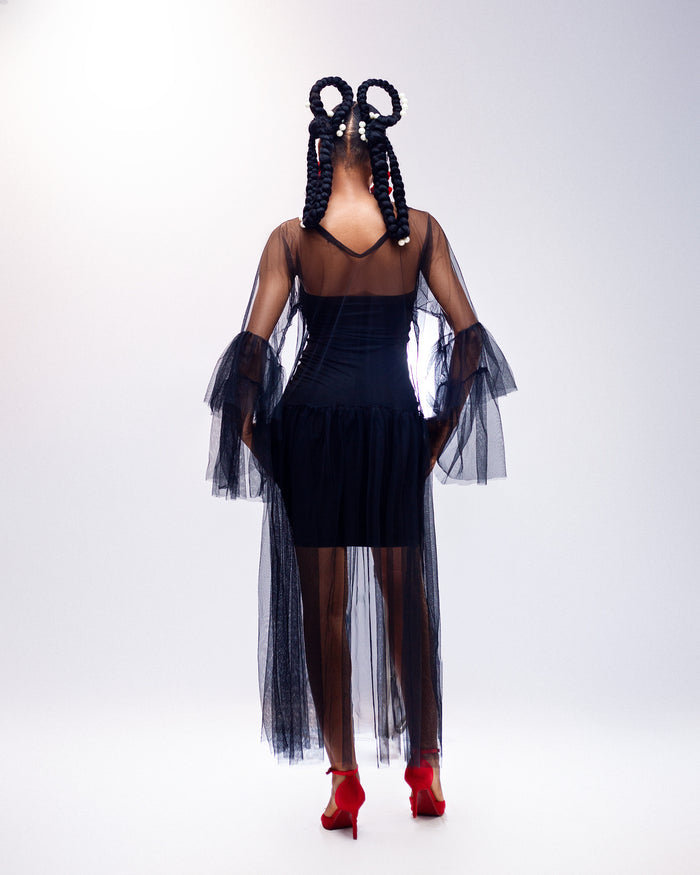 Sunlit Dream Dress - Sheer Tulle Long Sleeve Dress - Dimaz