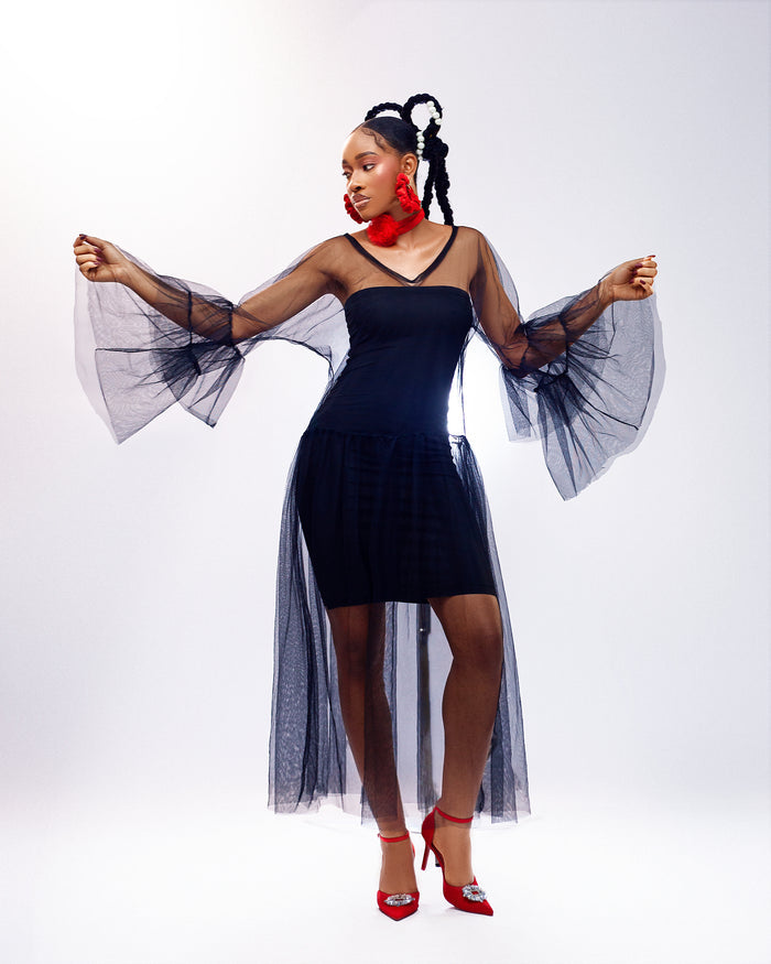 Sunlit Dream Dress - Sheer Tulle Long Sleeve Dress - Dimaz