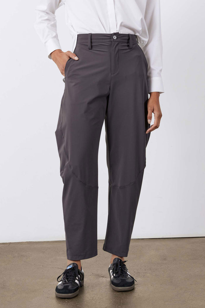 Graphite wide-leg pants with front button and zipper, pleated waistband