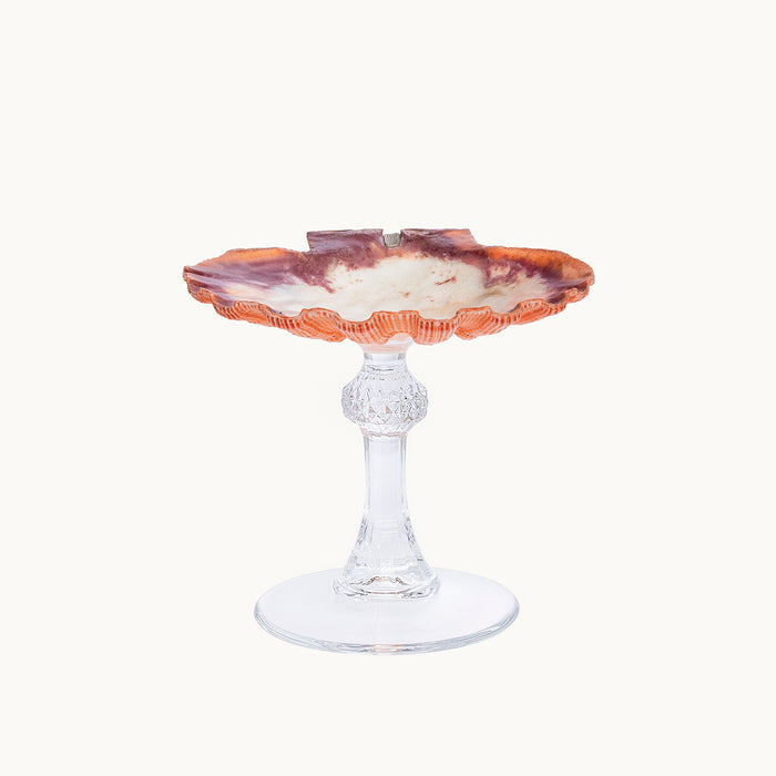 Venus Tide Shell Glass