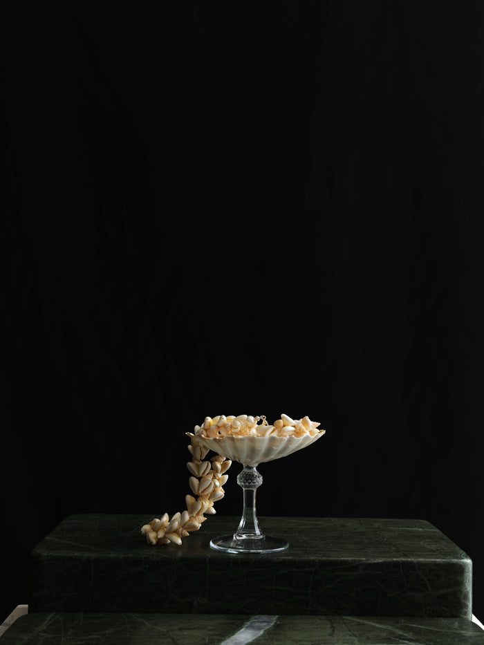 Venus Tide Shell Glass