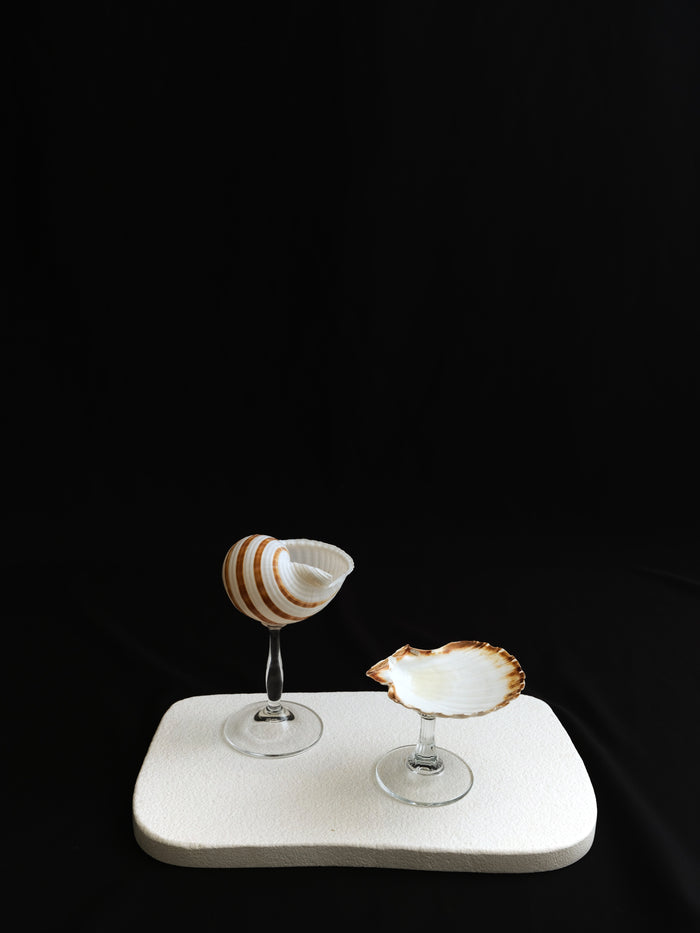 Venus Tide Shell Glass